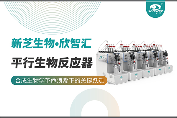 培养菌株和评估工艺参数影响太难太慢？平行生物反应器提供关键解决方案！